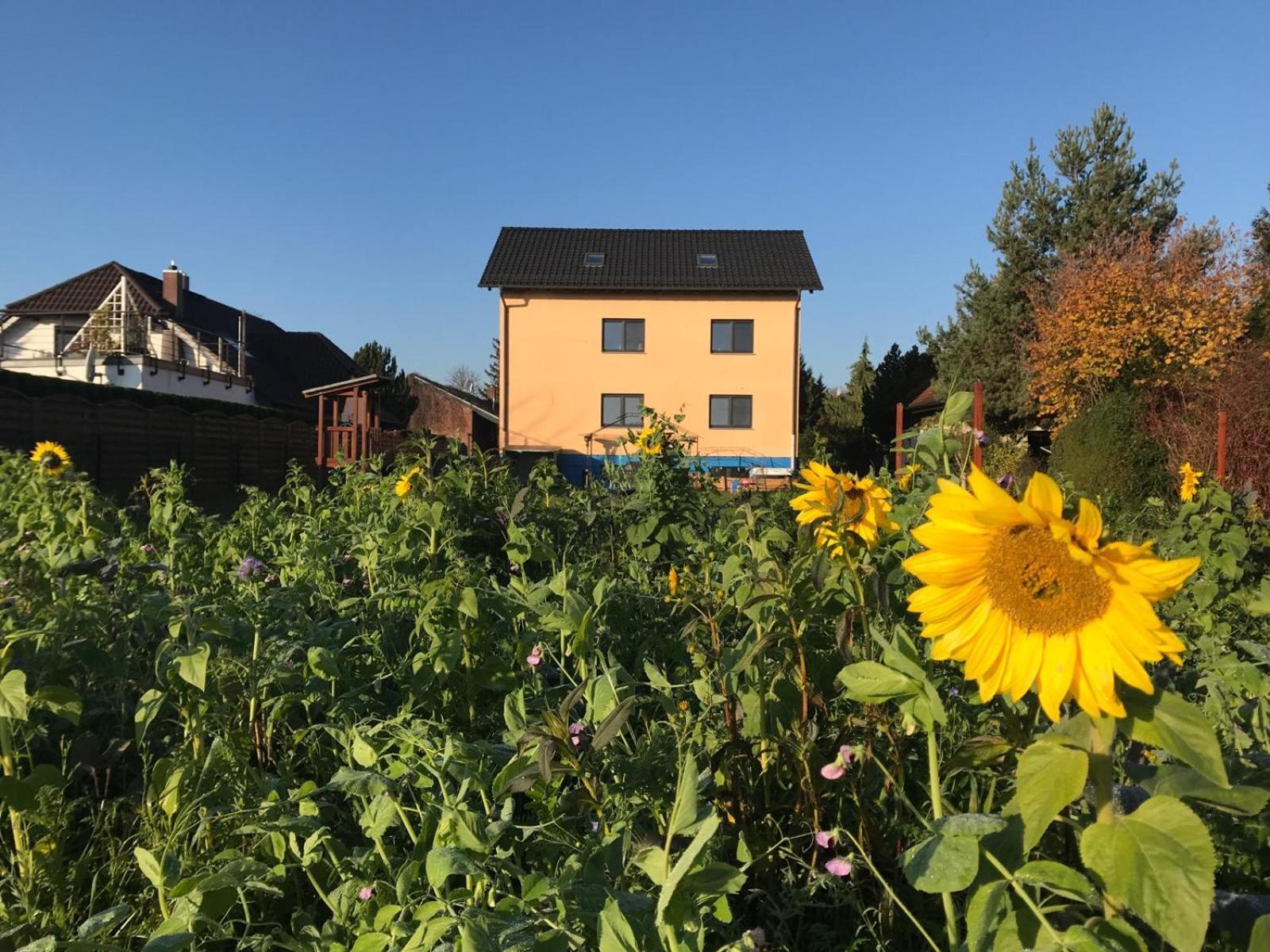 Stadt. Land. See. Ferienwohnung ライプツィヒ エクステリア 写真